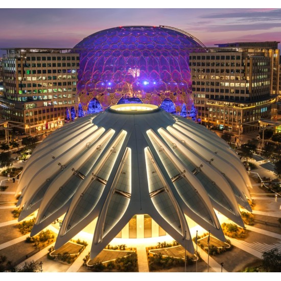 Science Show: Would You Rather?